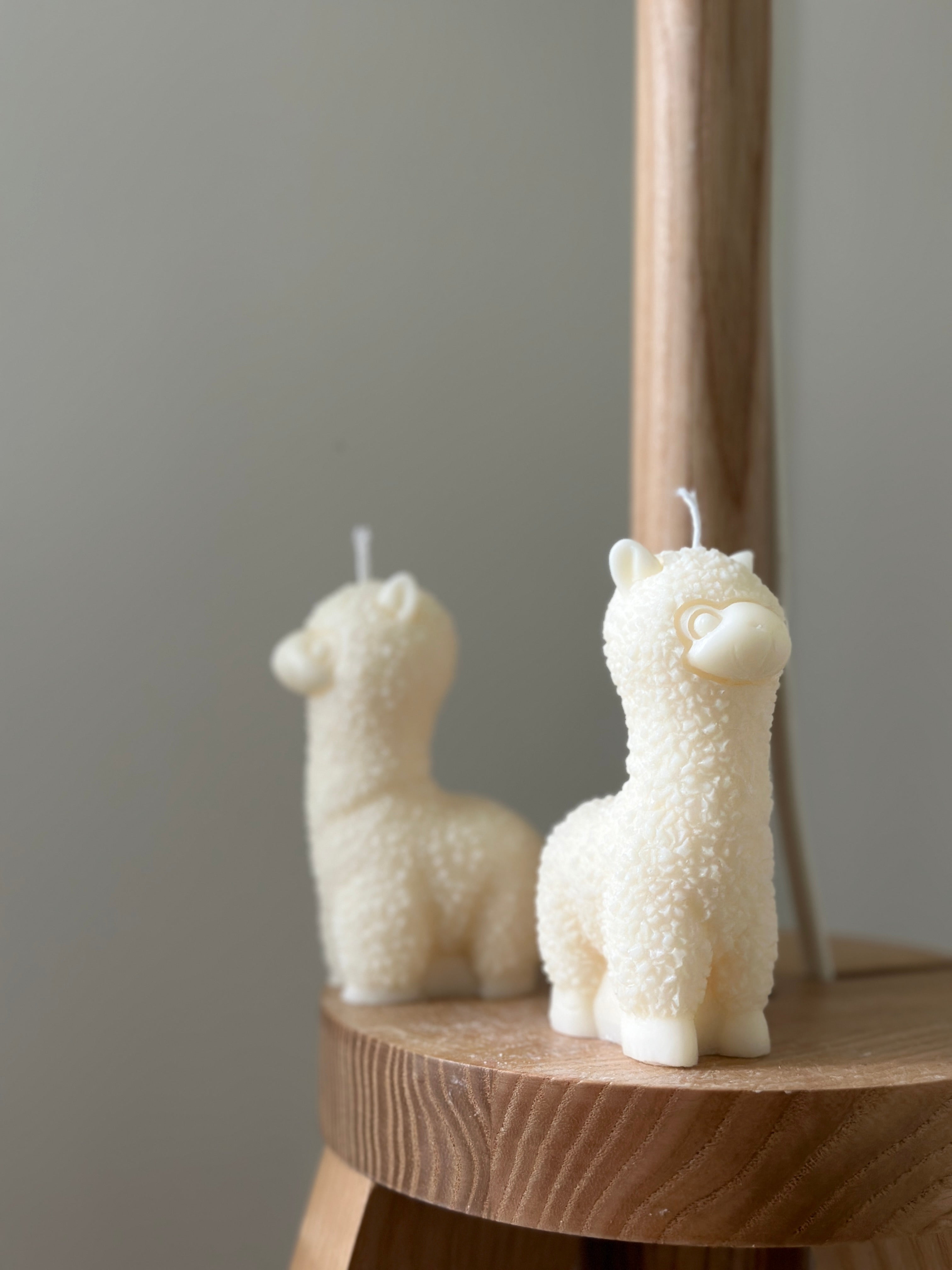 Bougie sculptée Alpaga - Studio Candela