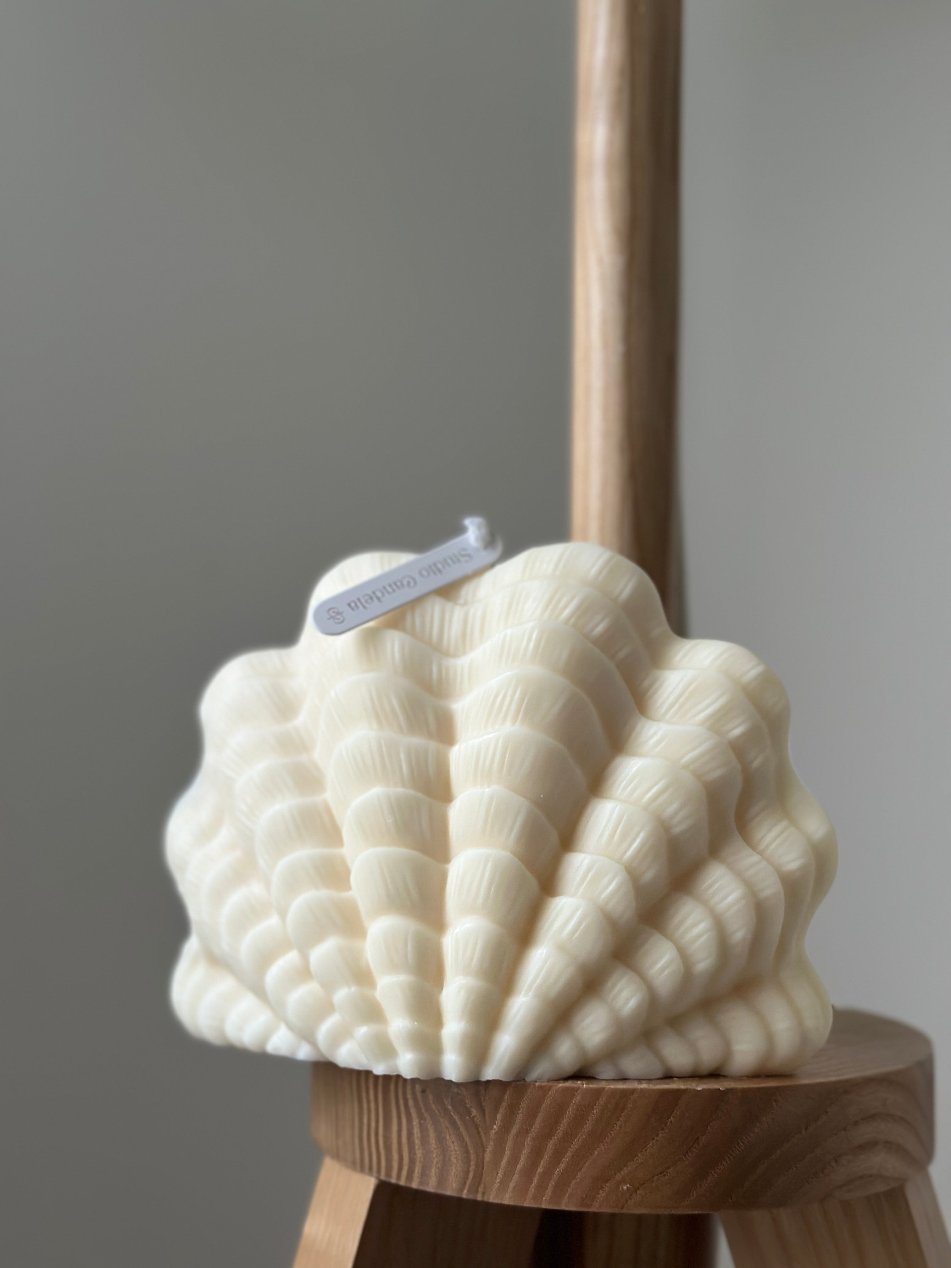 Bougie sculptée Coquillage - Studio Candela
