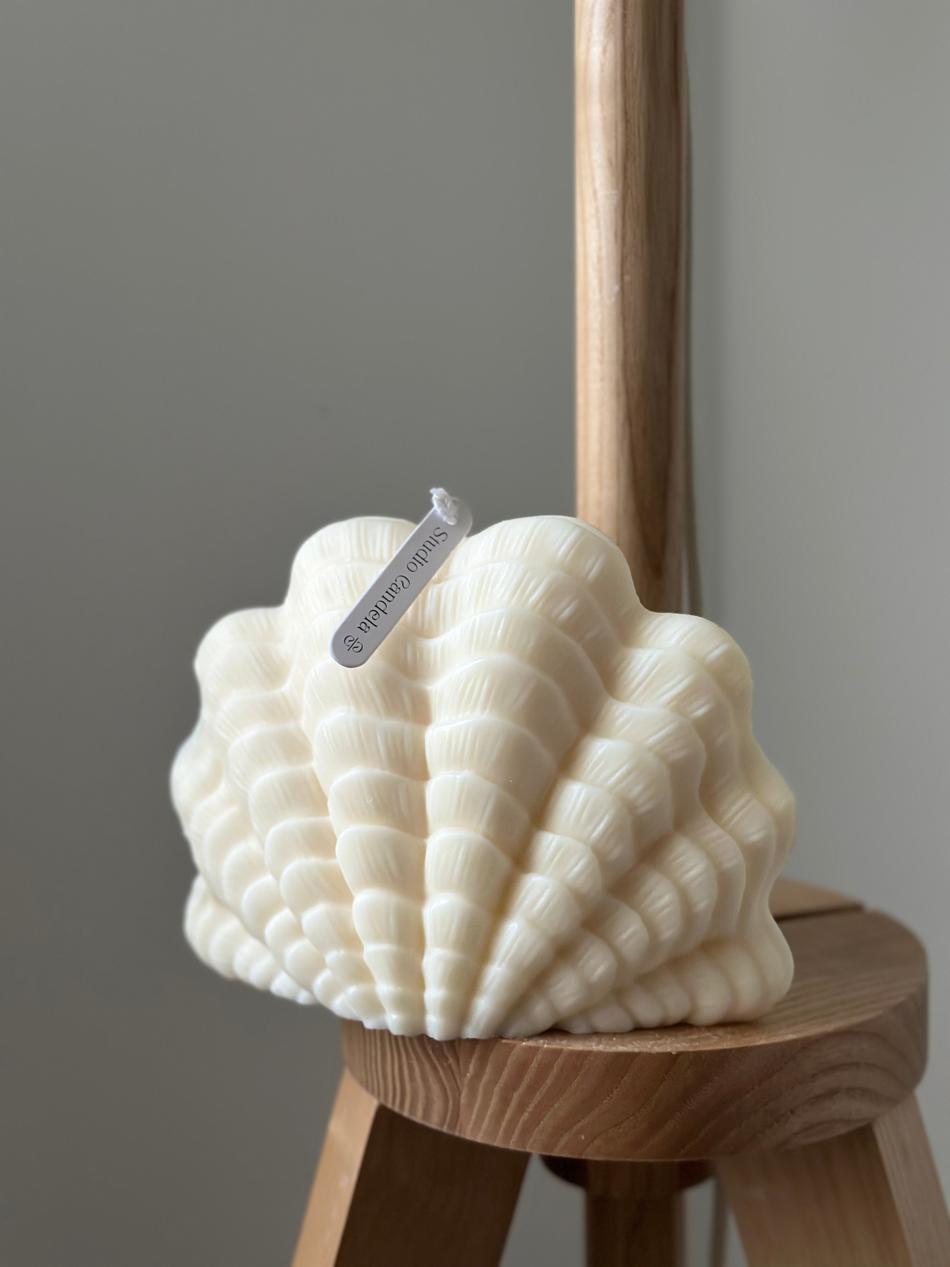 Bougie sculptée Coquillage - Studio Candela