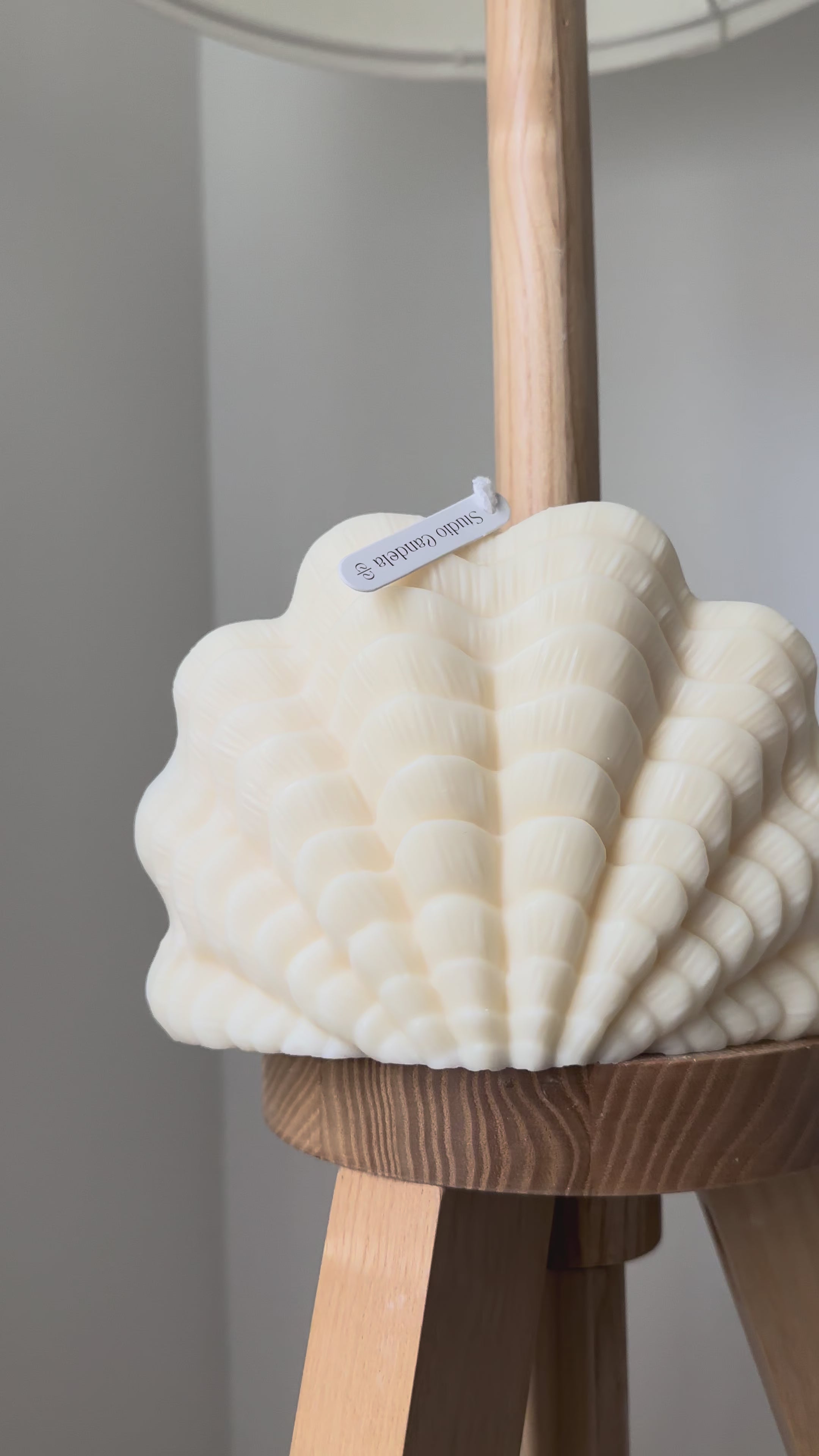 Bougie sculptée Coquillage - Studio Candela
